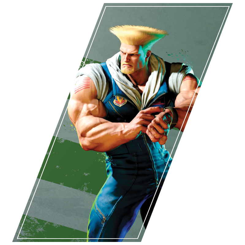 Plax SF6 Selection_Guile