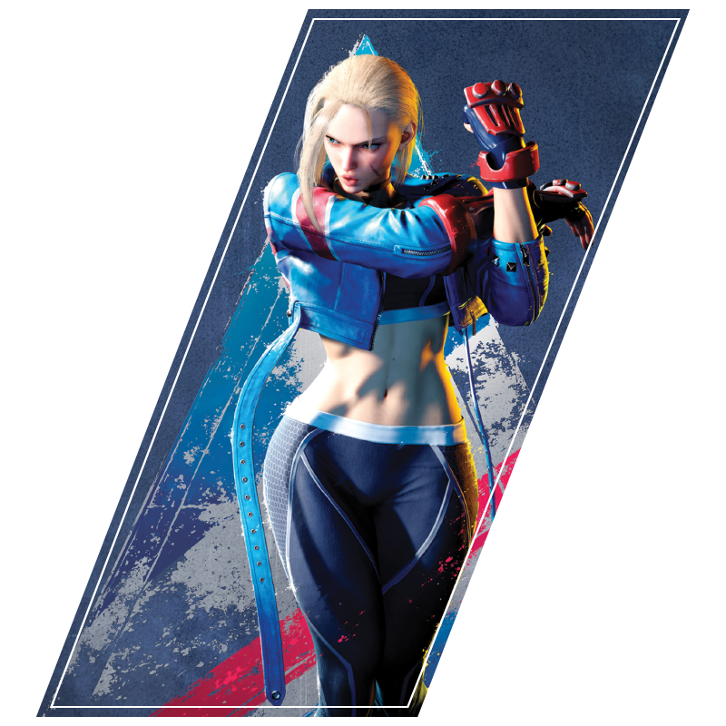 Plax SF6 Selection_Cammy